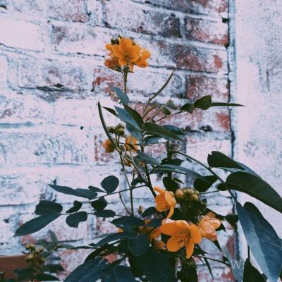 B—sports登录B体育